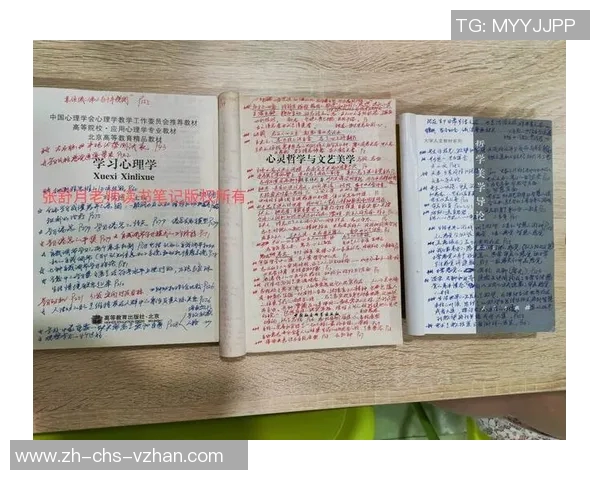 简与约翰的对决：文化差异与价值观碰撞的深度探讨